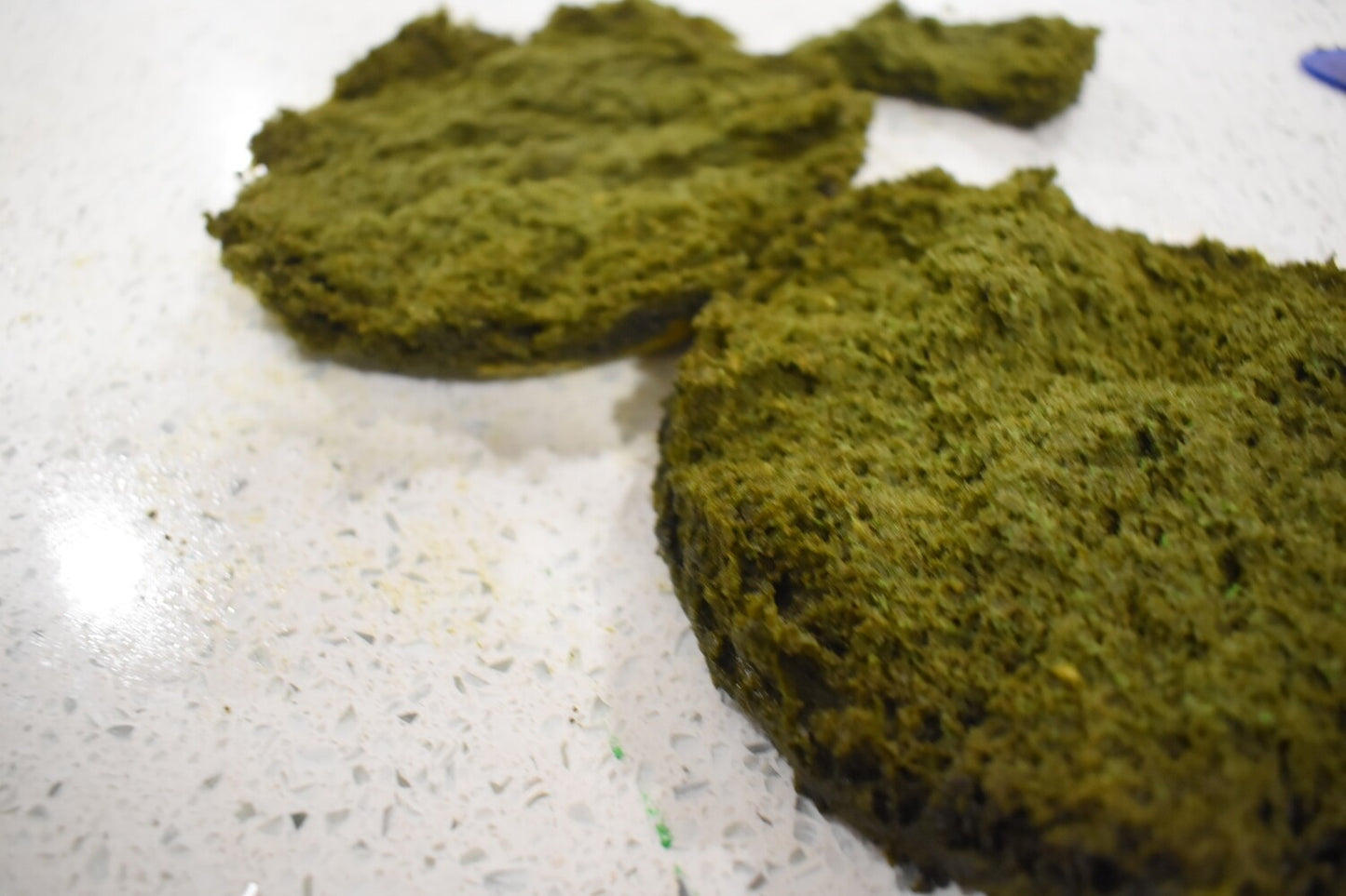 Edible Moss